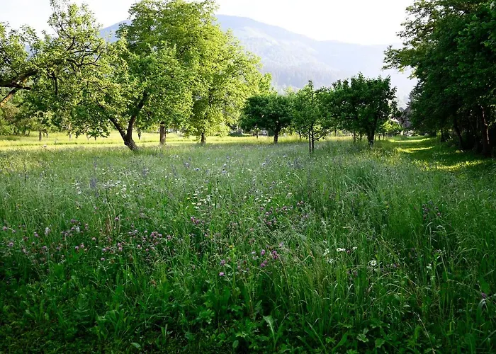 Apartma Metka Lese Trzic