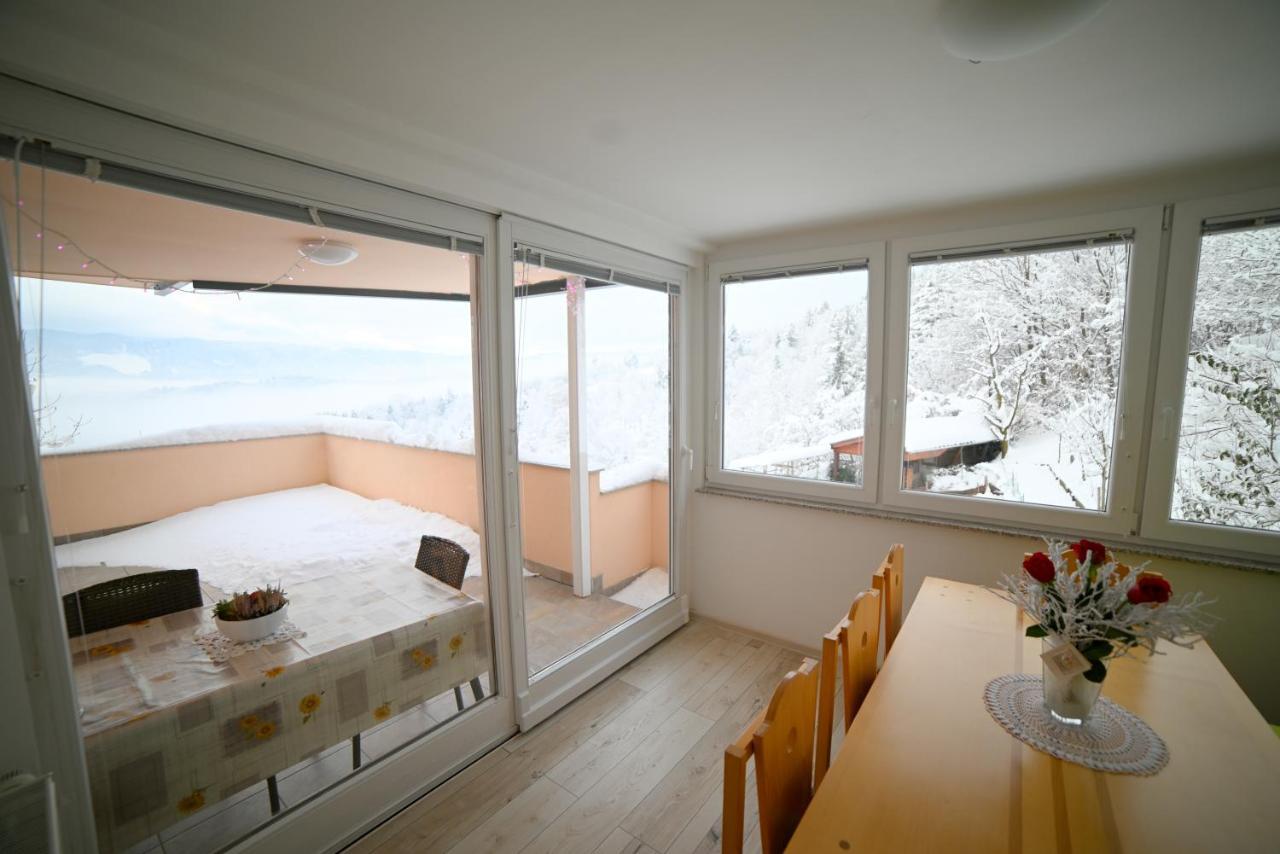 Apartment Apartma Metka Trzic