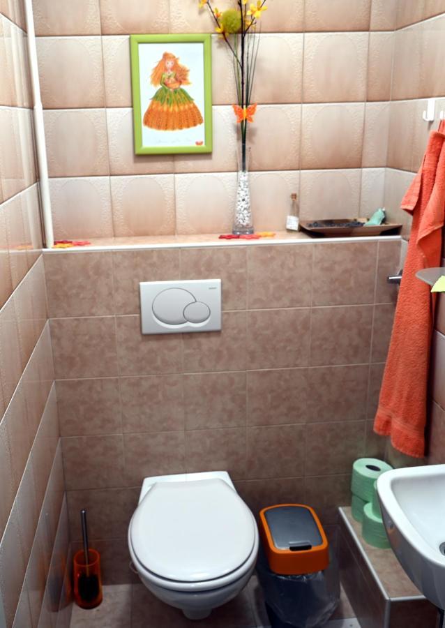 Apartment Apartma Metka Trzic Lese