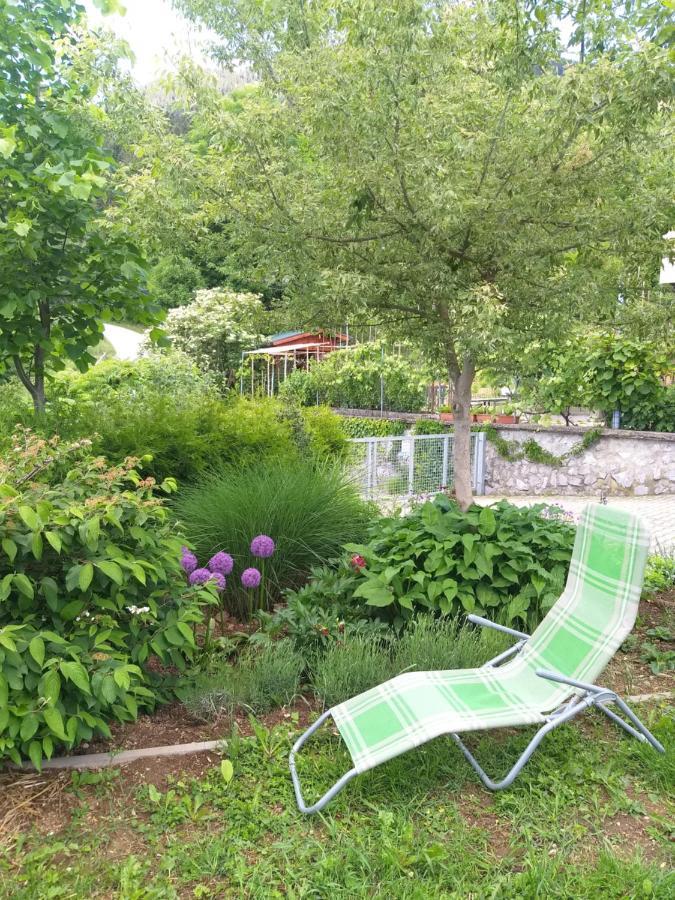 Apartma Metka Trzic Apartment