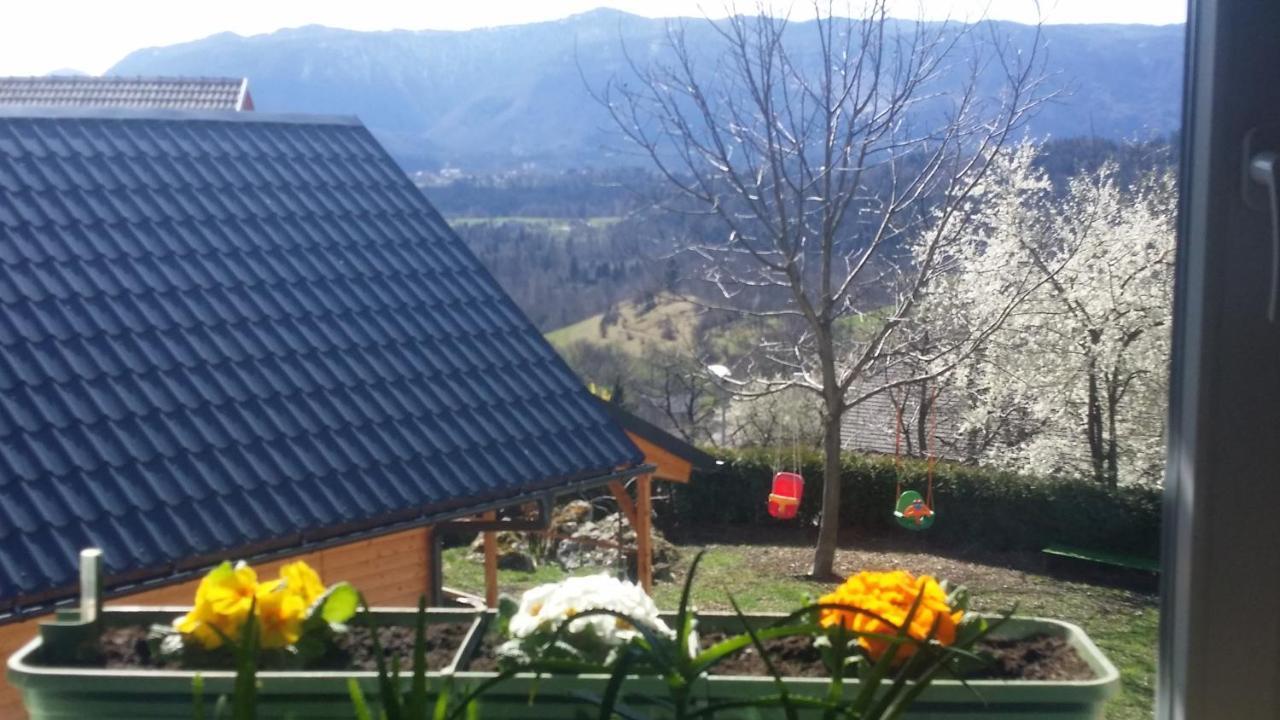 Apartma Metka Trzic Apartment