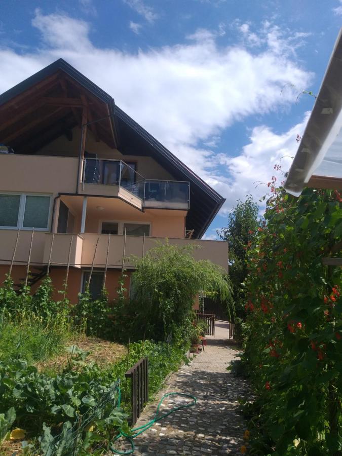 Apartma Metka Trzic Apartment