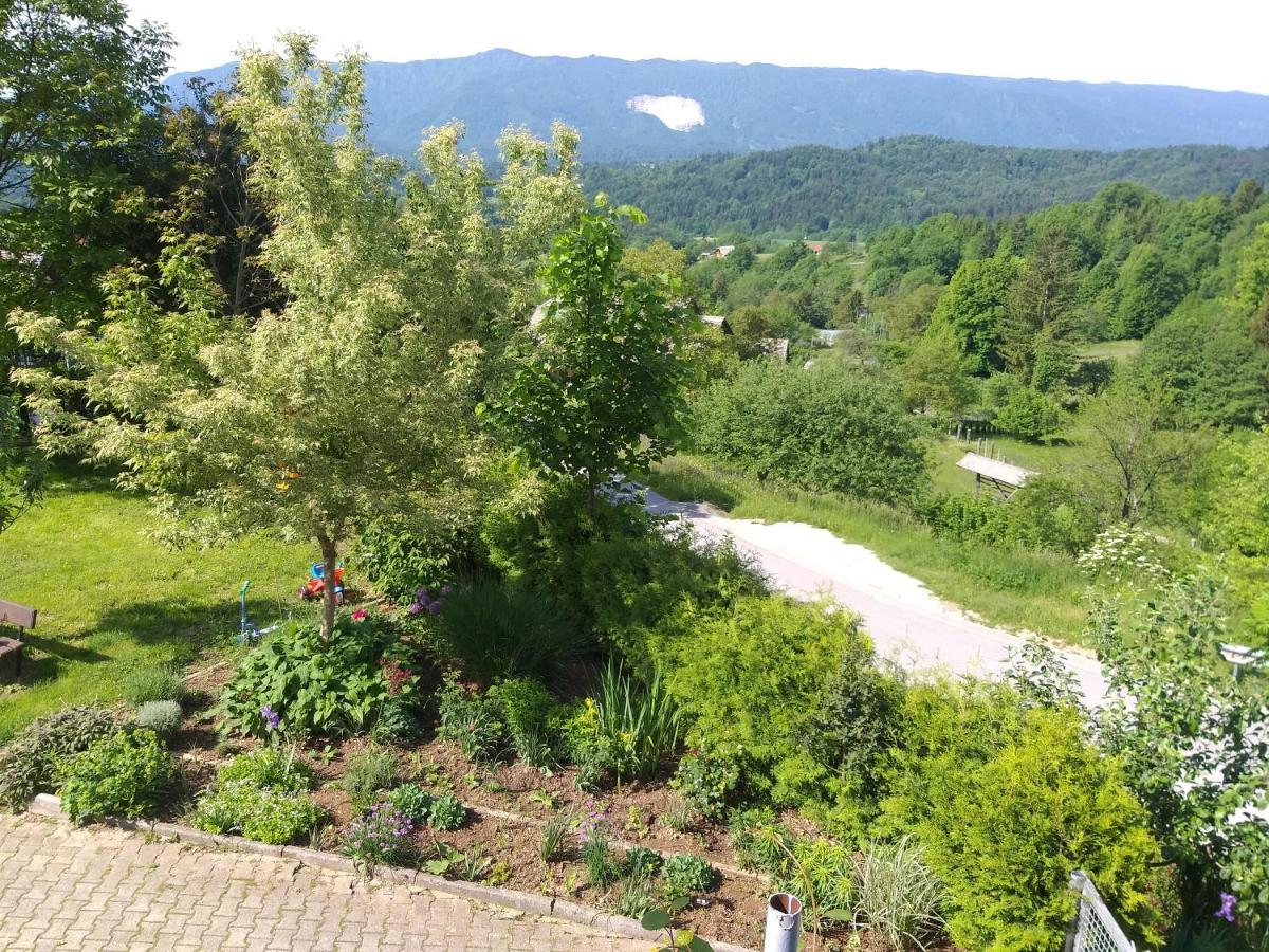 Apartment Apartma Metka Trzic Lese
