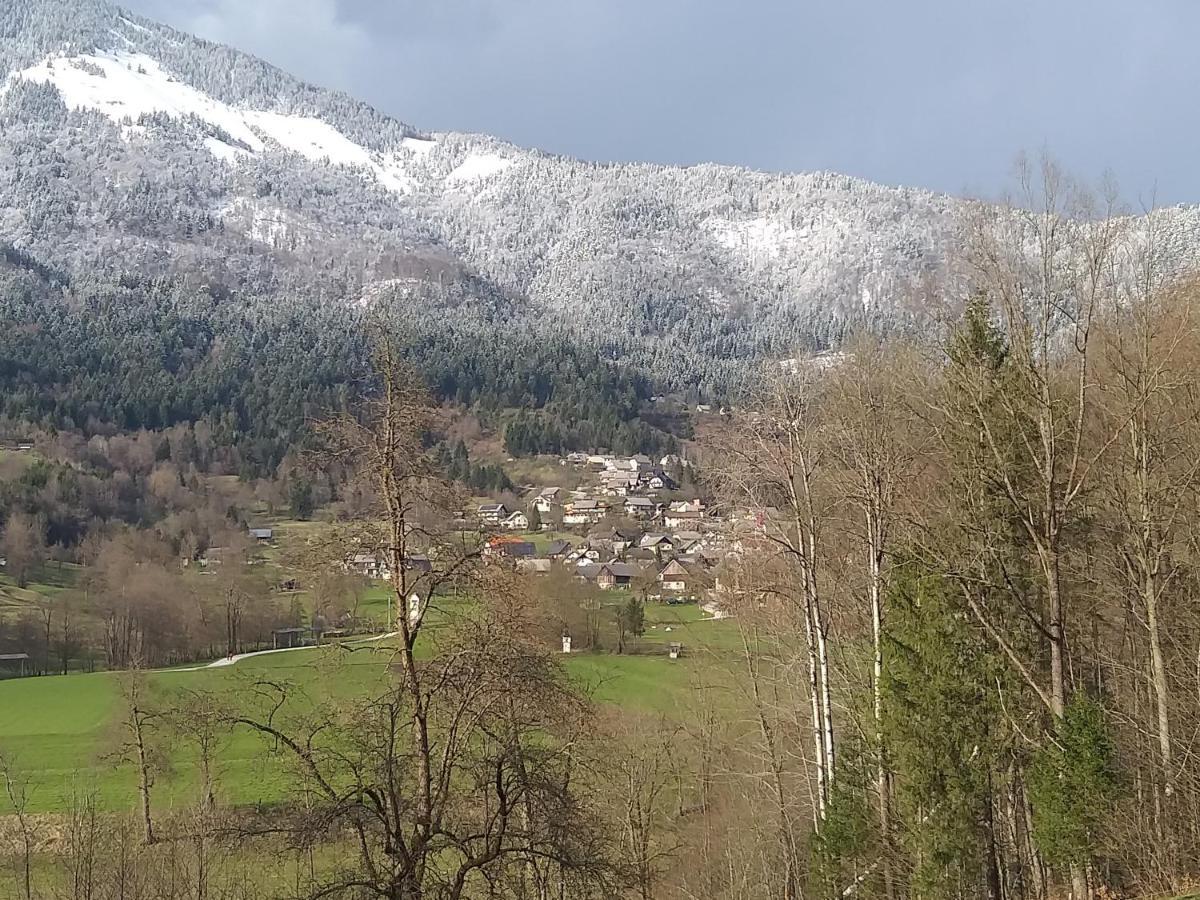 Apartma Metka Trzic Apartment Lese