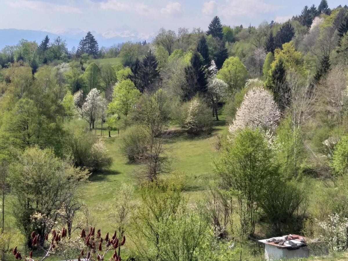 Apartma Metka Trzic *