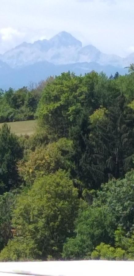 Apartma Metka Trzic *