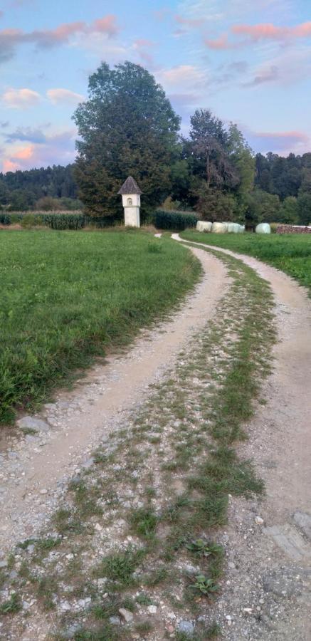 Apartma Metka Trzic