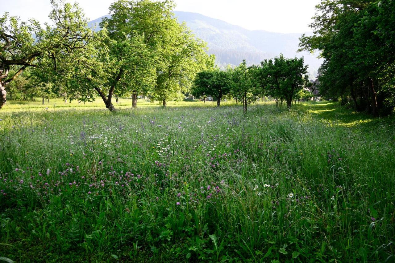 Apartma Metka Trzic * Lese