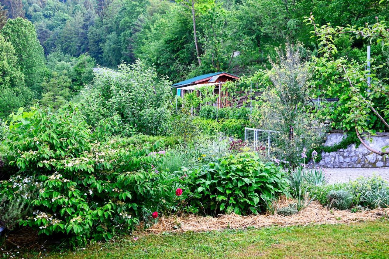 Apartma Metka Trzic Apartment