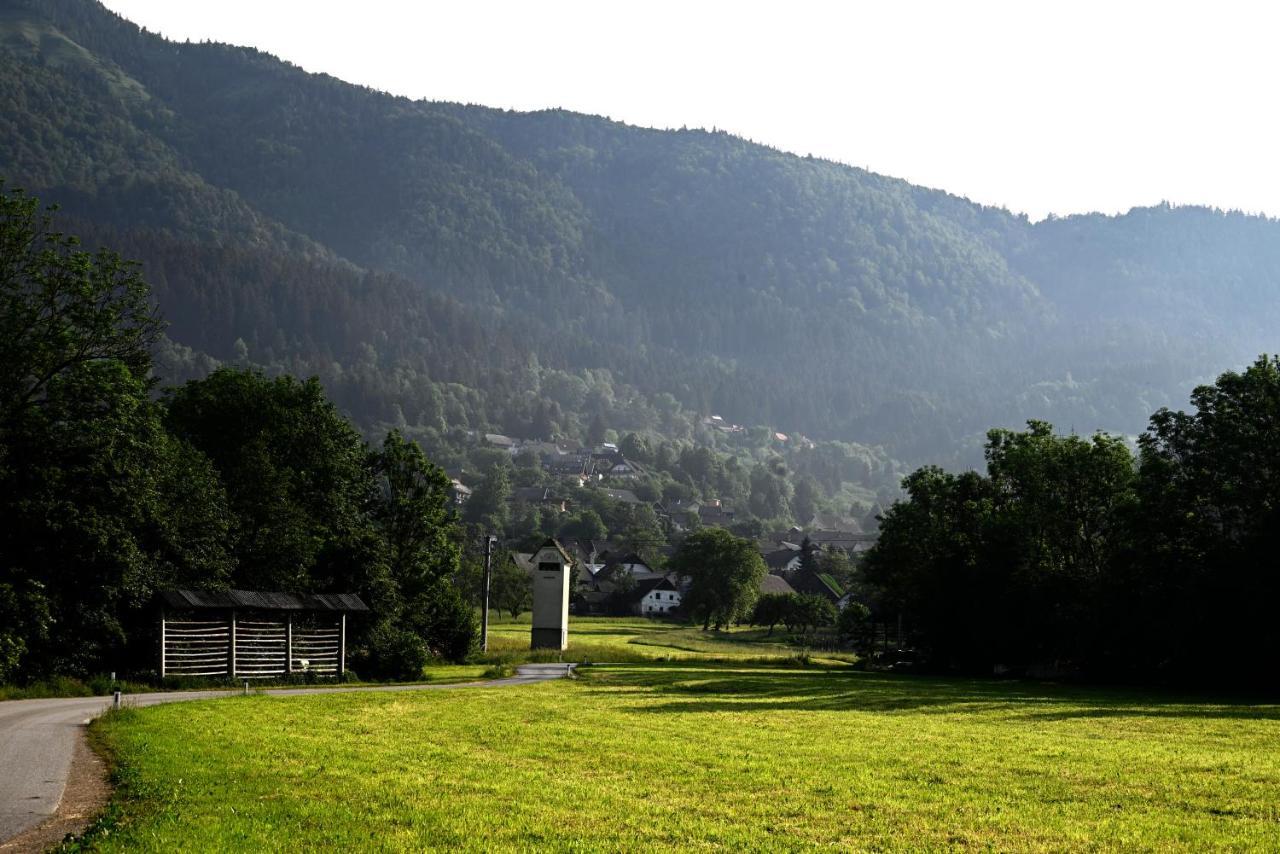Apartma Metka Trzic