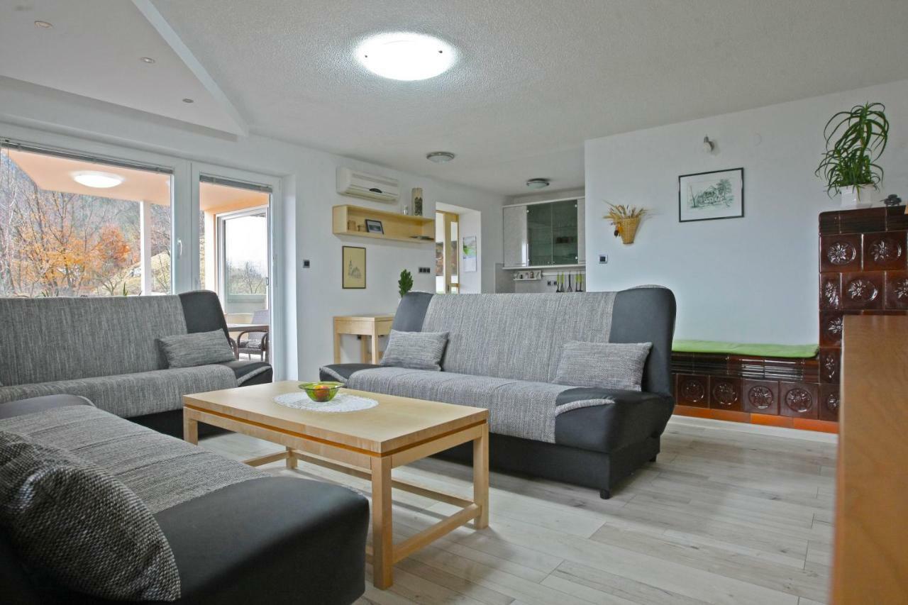Apartma Metka Trzic Apartment